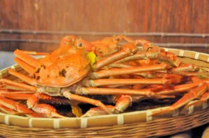 茹で上がった越前がに