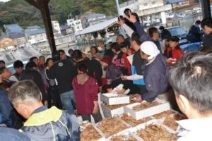 越前漁港の活気