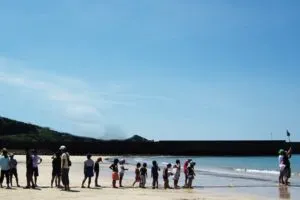 海水浴を楽しむ人々