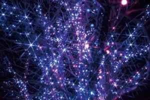 イルミネーション