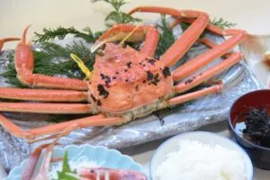 特大越前がにコース
